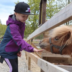 Kuopion eläinpuisto poni